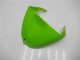 05-06 Green ZX6R Motorcycle Bodywork