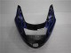 96-07 Blue Flame CBR1100XX Motorcycle Fairings